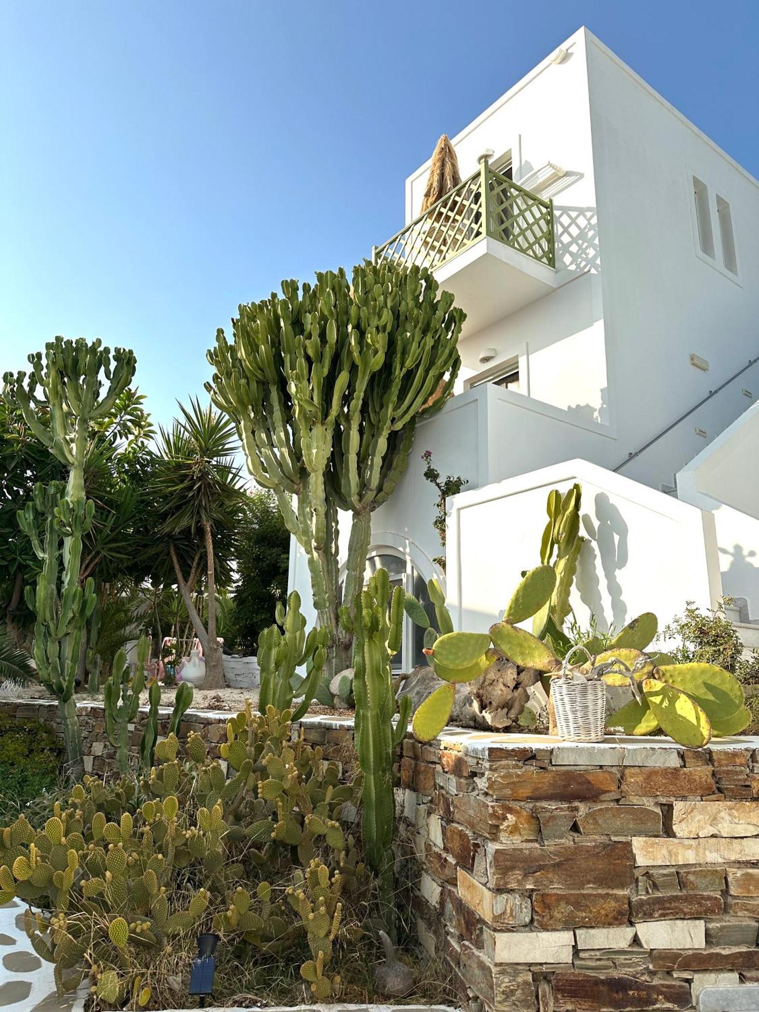 Artemis Hotel Antiparos Town エクステリア 写真