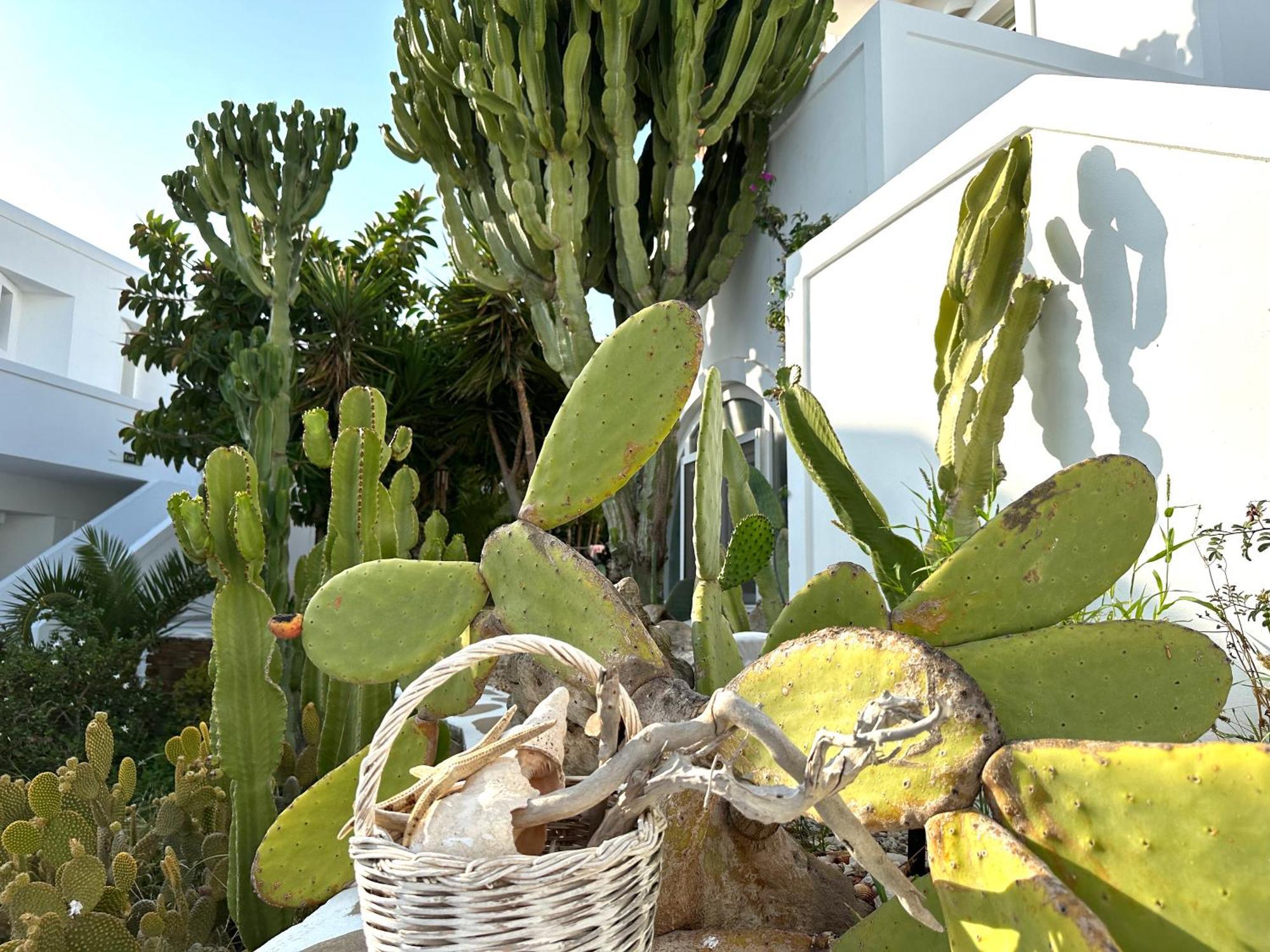 Artemis Hotel Antiparos Town エクステリア 写真