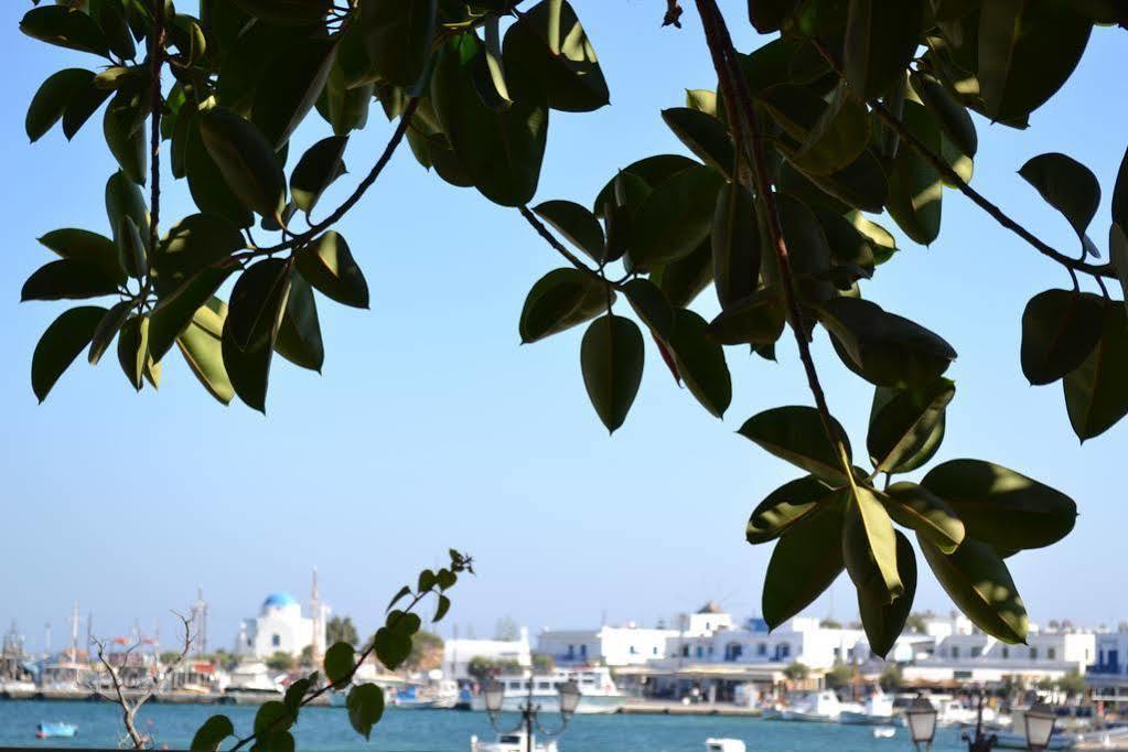 Artemis Hotel Antiparos Town エクステリア 写真