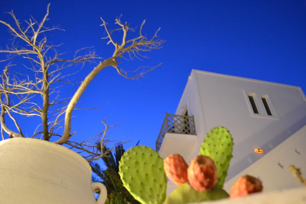 Artemis Hotel Antiparos Town エクステリア 写真