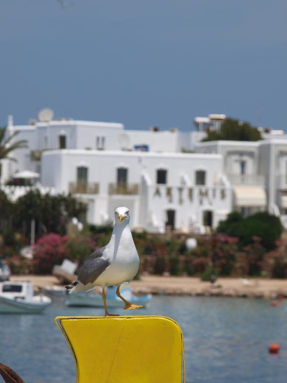 Artemis Hotel Antiparos Town エクステリア 写真